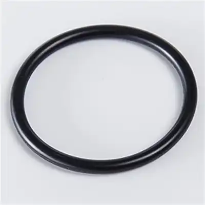 O-Ring 28 x 2,5_0