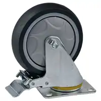 Roue avec frein
