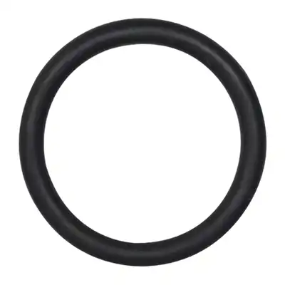 Sicherungsring_0