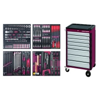 Werkstattwagen P308, EVA, PB+HT, 243-tlg._0