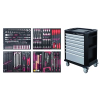 Werkstattwagen P207, EVA, PB+HT, 243-tlg._0