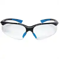 Schutzbrille