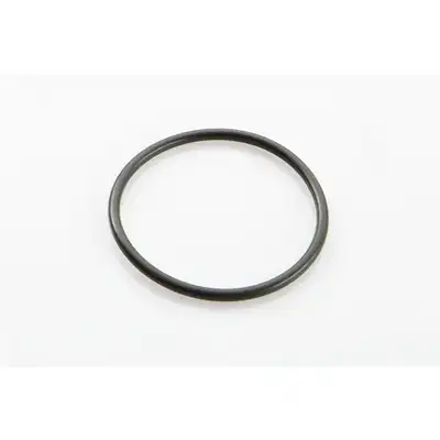 O-Ring zu 1.25011_0