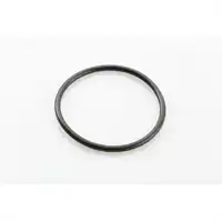 O-Ring zu 1.25010
