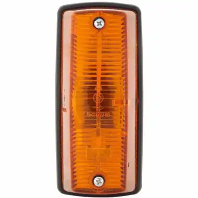 Lampeggiatore destro HELLA _1