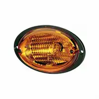 Indicatore direzione Agroluna 24V