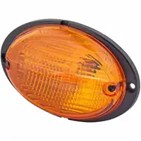 Indicatore direzione Agroluna 12V