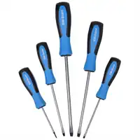 Jeu de tournevis, fente, 5 pièces