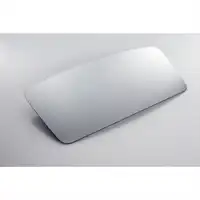 Ersatzglas 308x176mm