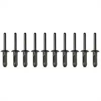 Kunststoff-Nieten 6,3 x 25,2 mm, 10 Stück