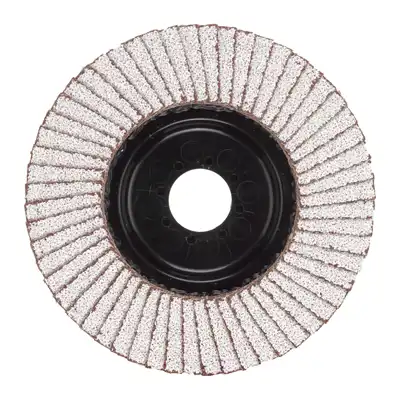 Fächerschleifscheibe 125 mm_1