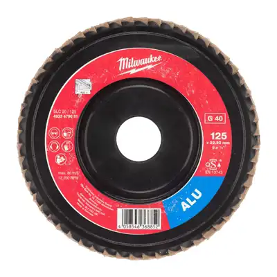 Fächerschleifscheibe 125 mm_2