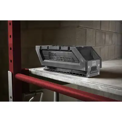 Batteria, Milwaukee_7