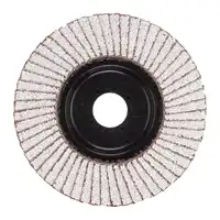 Fächerschleifscheibe 125 mm