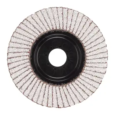 Fächerschleifscheibe 125 mm_0