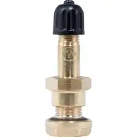 Ventil Tubeless aus Messing L41mm Ø9.85mm