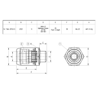 Raccordo M14x1,5mm tubo Ø12mm RAUFOSS_0