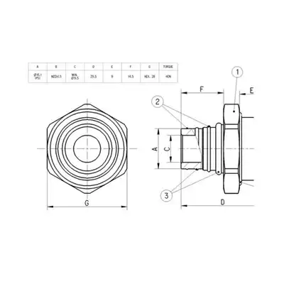 Raccord M22x1,5 P5 RAUFOSS_1