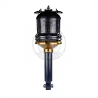 Soufflet à air complet avec piston, CONTI