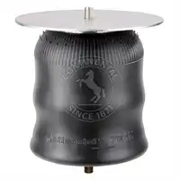 Soufflet à air complet avec piston, CONTI