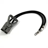 Stecker mit Bügel zu Startgerät JNC 12/24V