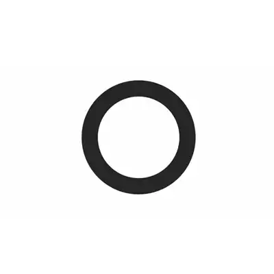 Dichtring_1