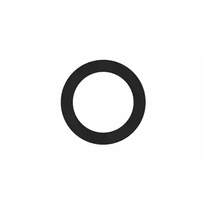 Dichtring_3