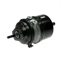 Federspeicher Scheibenbremse 20/24" rechts WABCO