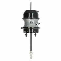 Cylindre à double membrane 30/30", WABCO