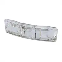 Lichtscheibe, Kennzeichenleuchte