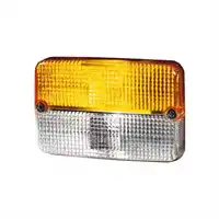 Lichtscheibe, Blinkleuchte