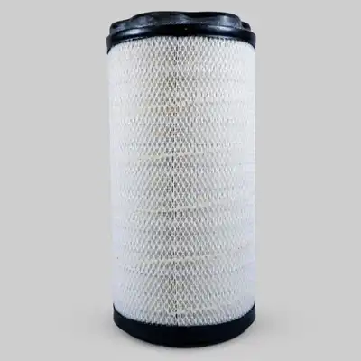 Filtro d. aria Donaldson_0