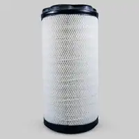 Filtro d. aria Donaldson