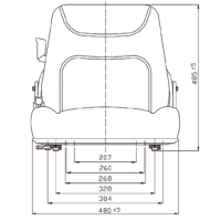 Sitz mechanisch gefedert mit Gurt u. Armlehne _3