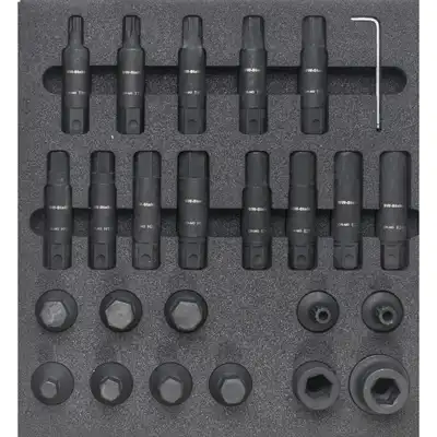 Assortimento di Inserti bit di impatto, 25 pezzi_0